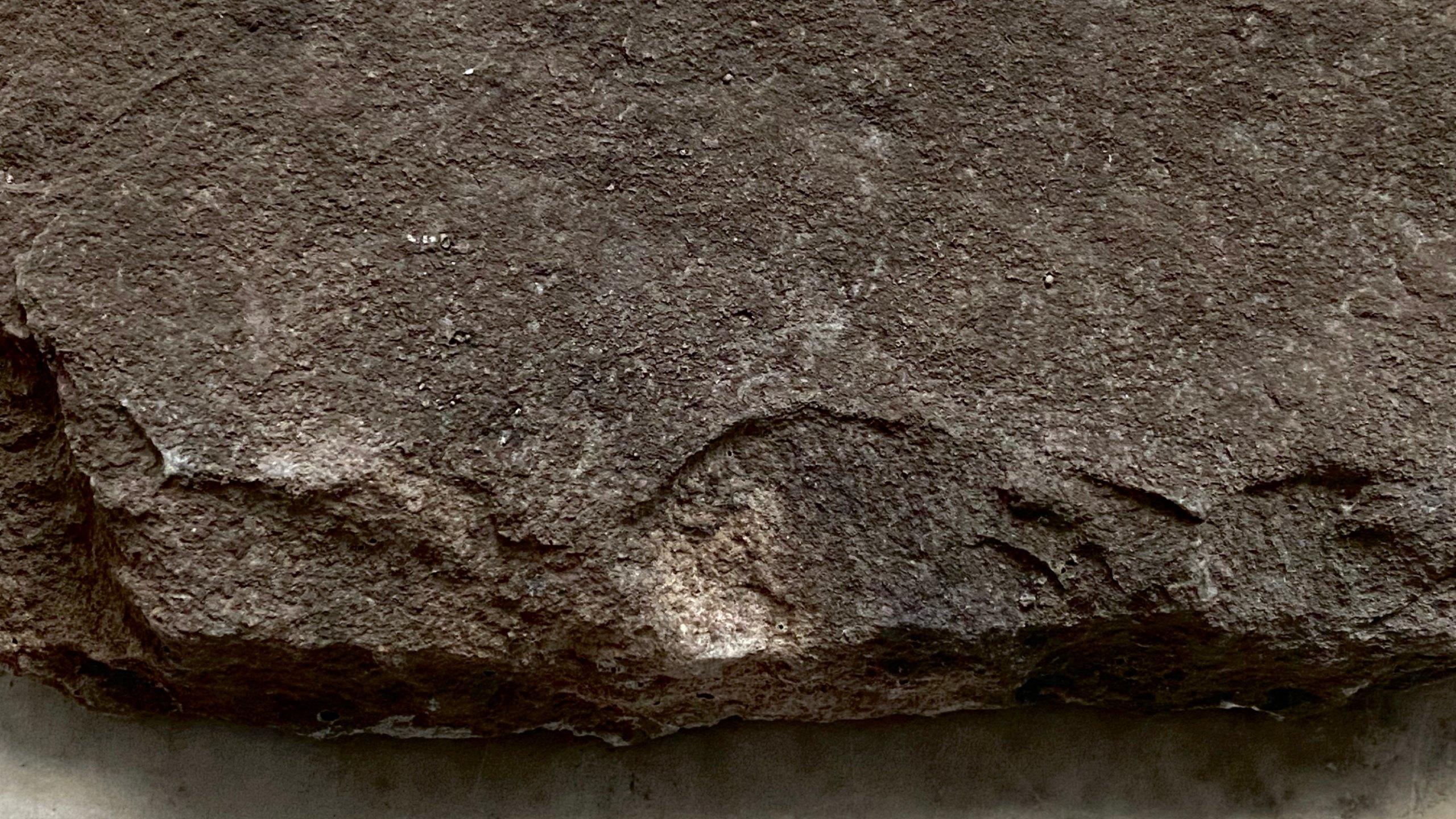 768094 Rana potere SELFIE 16cm da pietra artificiale realizzato e dipinta a mano 